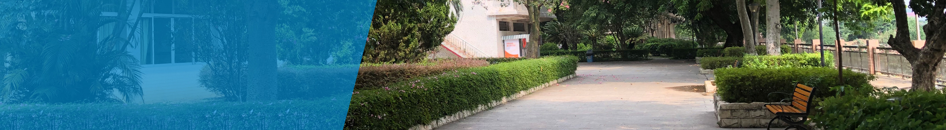 就医指南